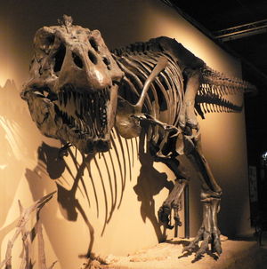 Ricostruzione in grandezza naturale di Tirannosaurus (Esposizione temp esterno Museo Scienze Milano)